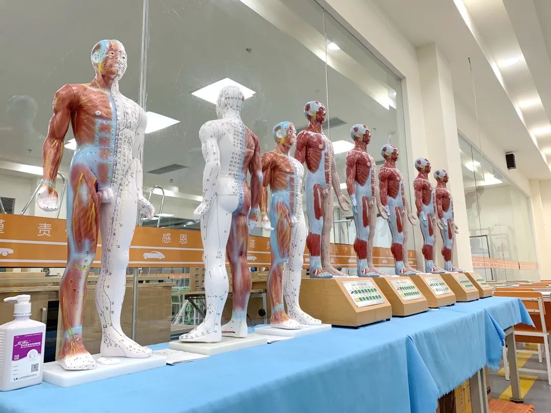 四川希望汽车职业学院排名,四川希望汽车职业学院开店