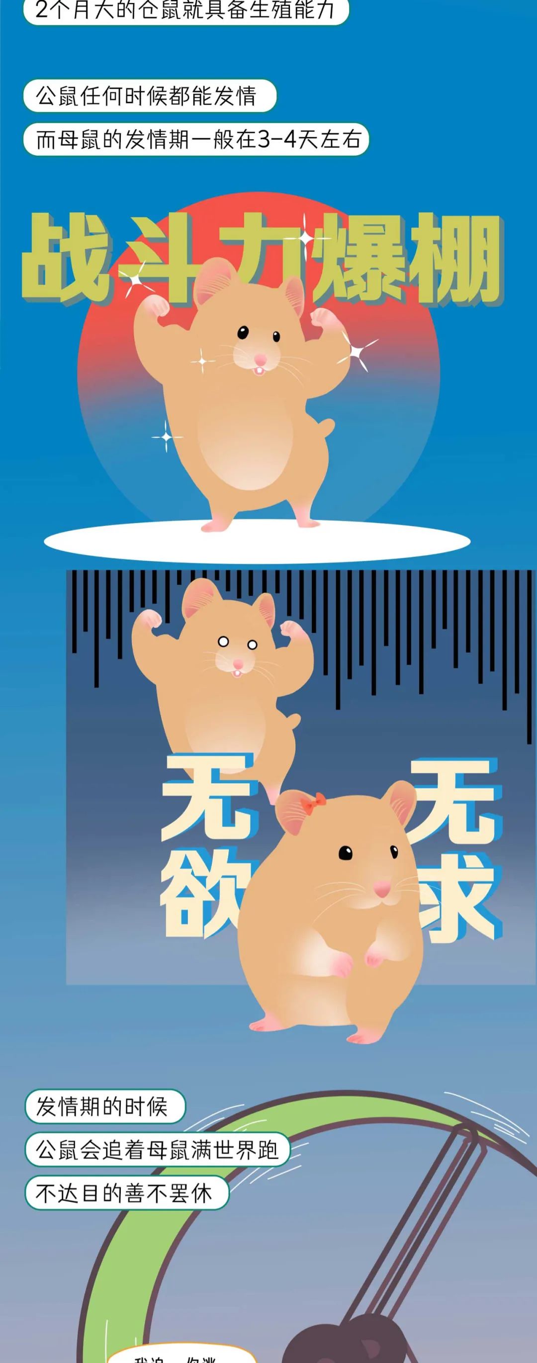 漫画：一组关于动物交配时间统计表曝光！