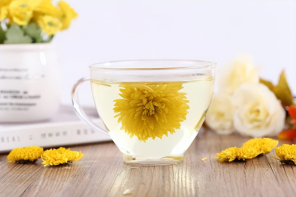 菊花买哪一种菊花比较好,4种菊花你选哪一种