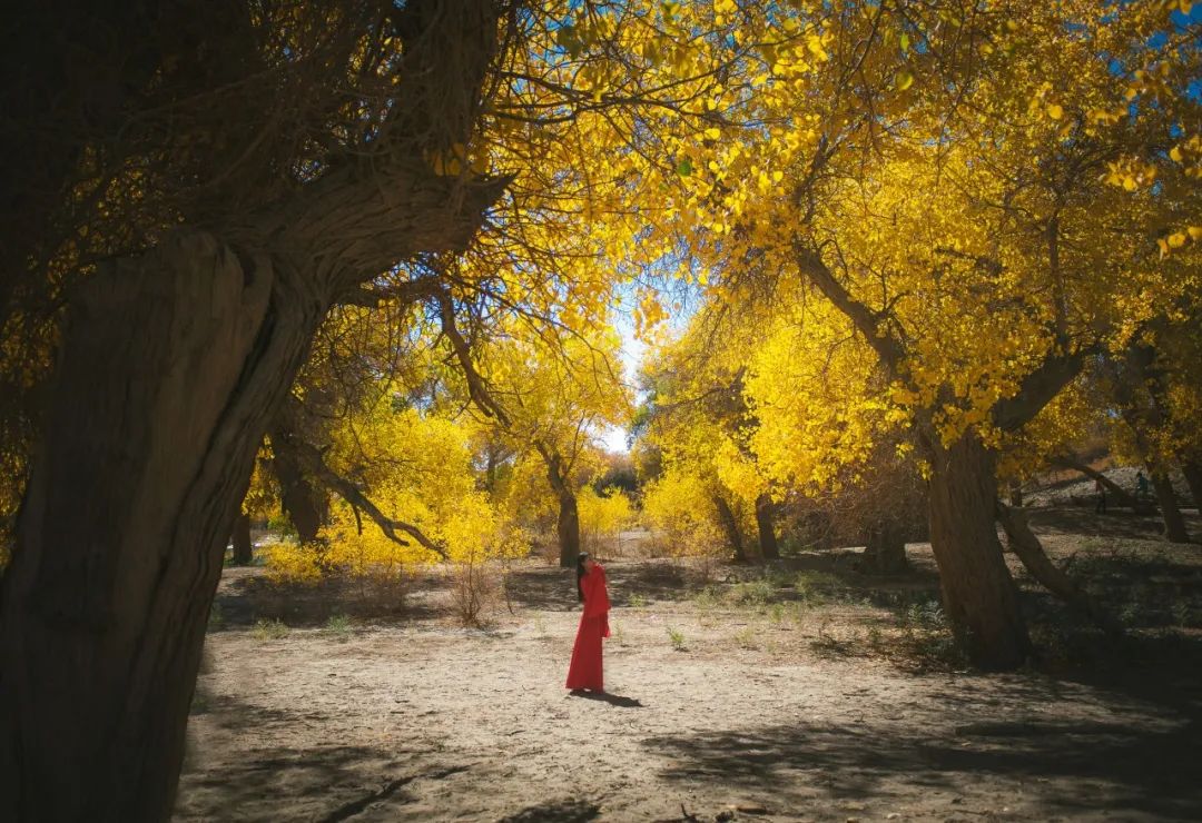 可以做微信签名的超美古诗句,经典微信签名诗句