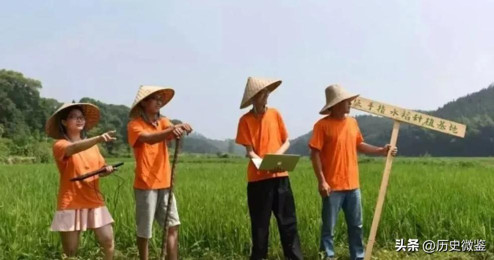 放弃年薪20万回家种地，气走父亲，几年后农产品销售额超600万