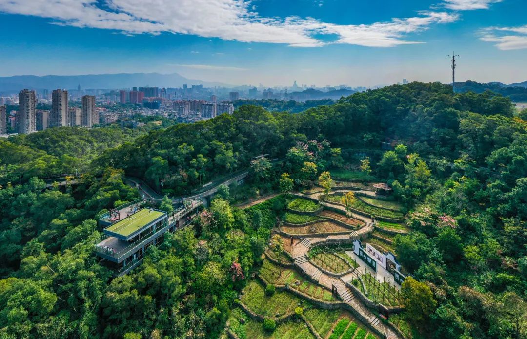 福州必游攻略,福州两江四岸包括哪里