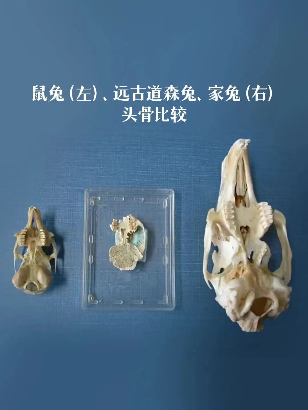 原来你是这样的宋医生在线阅读,原来你是这样的人作文