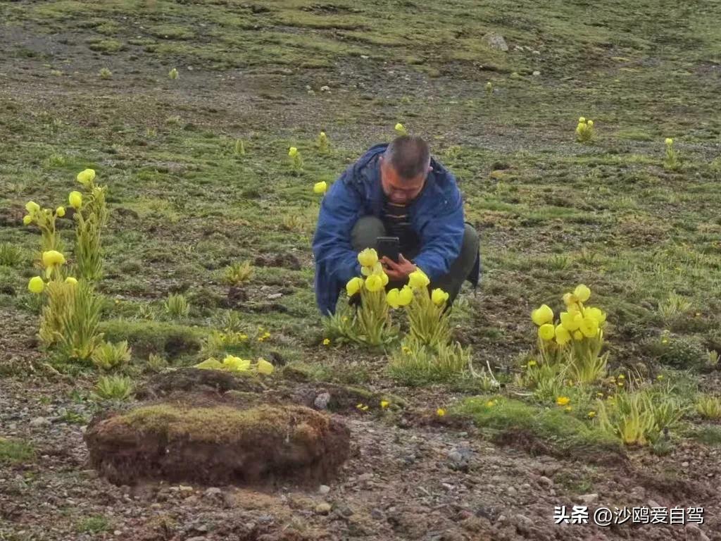 西藏自驾游三大圣湖,自驾西藏行摄之旅米堆冰川