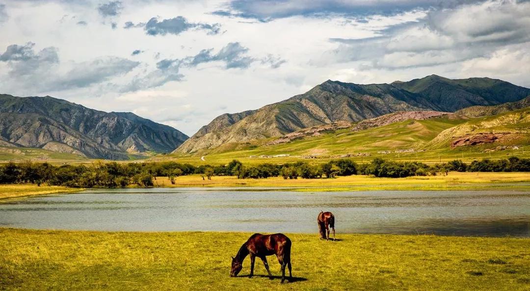 甘南的真正样子,甘南为什么划分甘肃