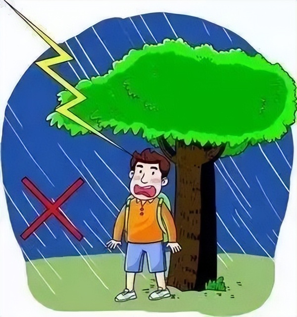 豫筑平安护花行动,豫筑平安都查什么