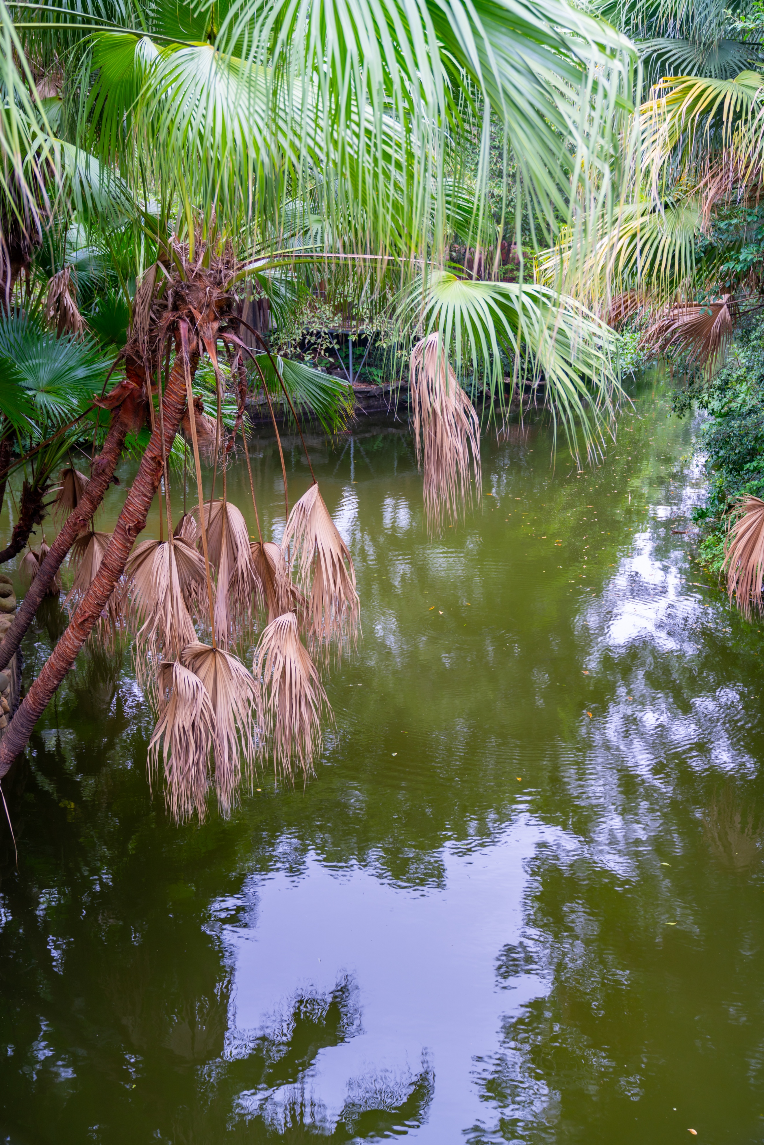 粤晖园国庆游,粤晖园自驾游攻略