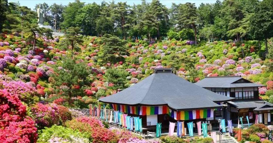 日本乡村振兴案例,日本农村水上乐园