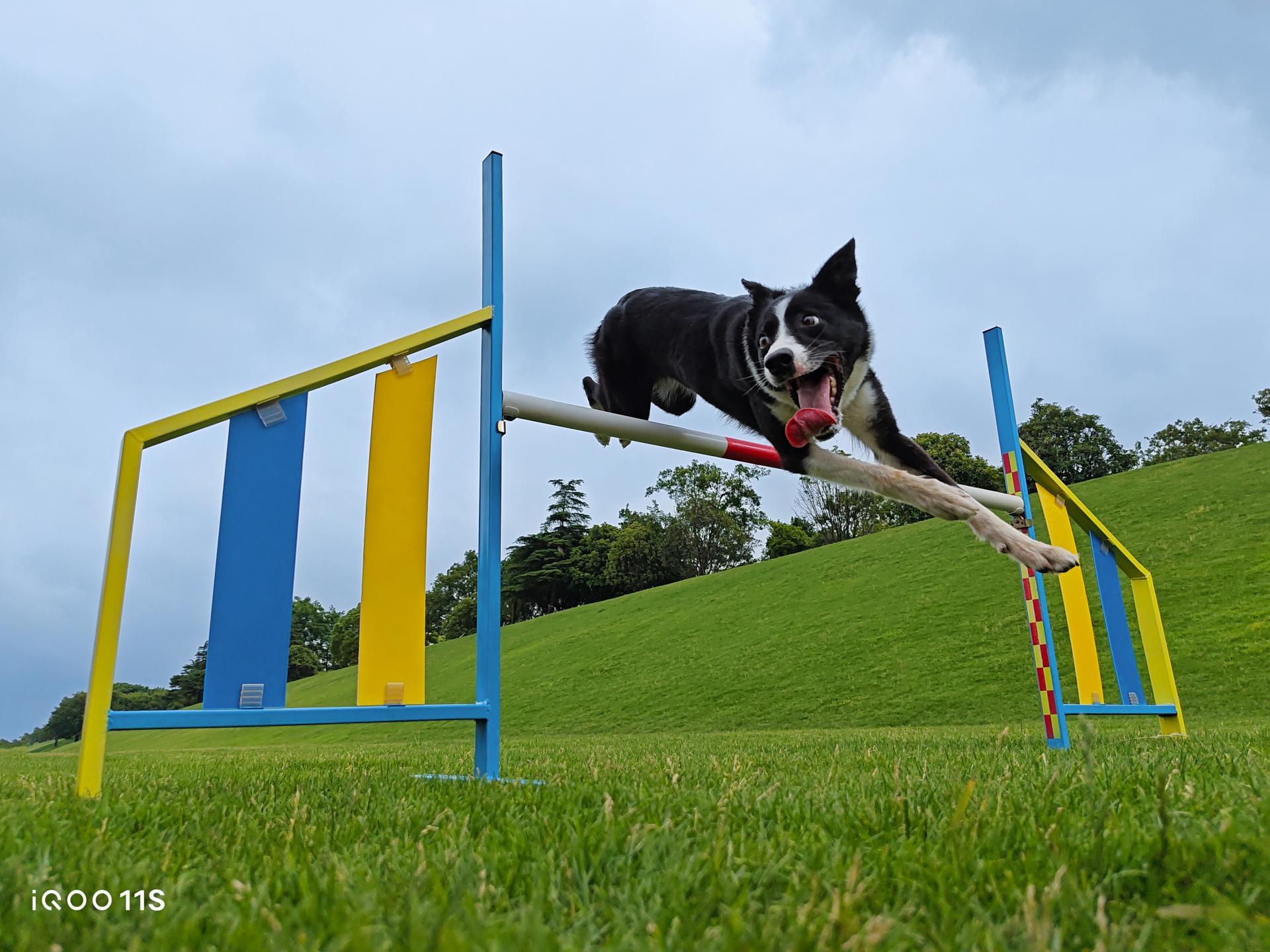 iqoo11s和iqoo11配置对比,深度体验iqoo11s游戏性能