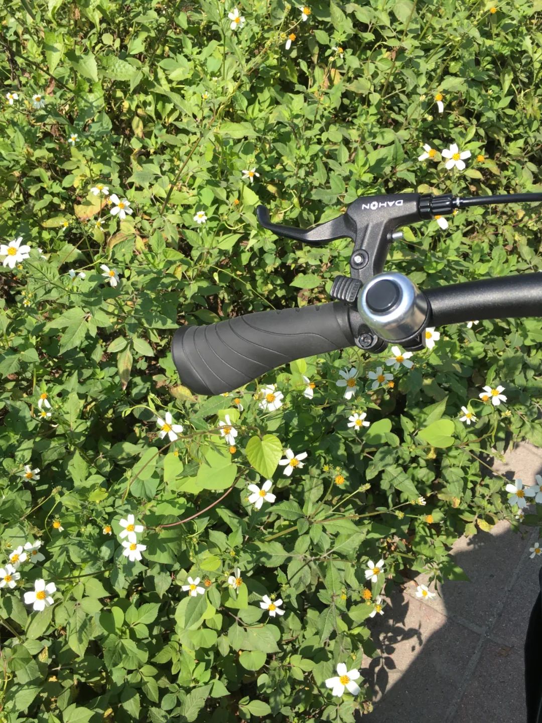 《旭光骑行深圳》第2站——龙岗区布吉街道