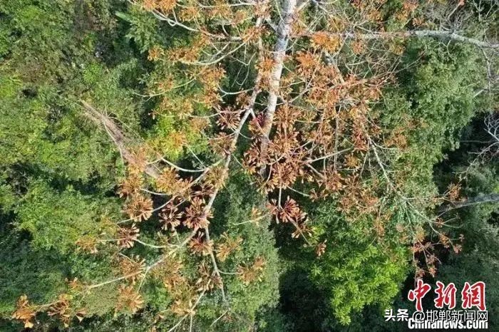 閭兏甯傜鐢ㄦ恫鍖栨皵閫氱煡,閭兏涓數娲查檯渚涚儹鎶ュ仠鎵嬬画