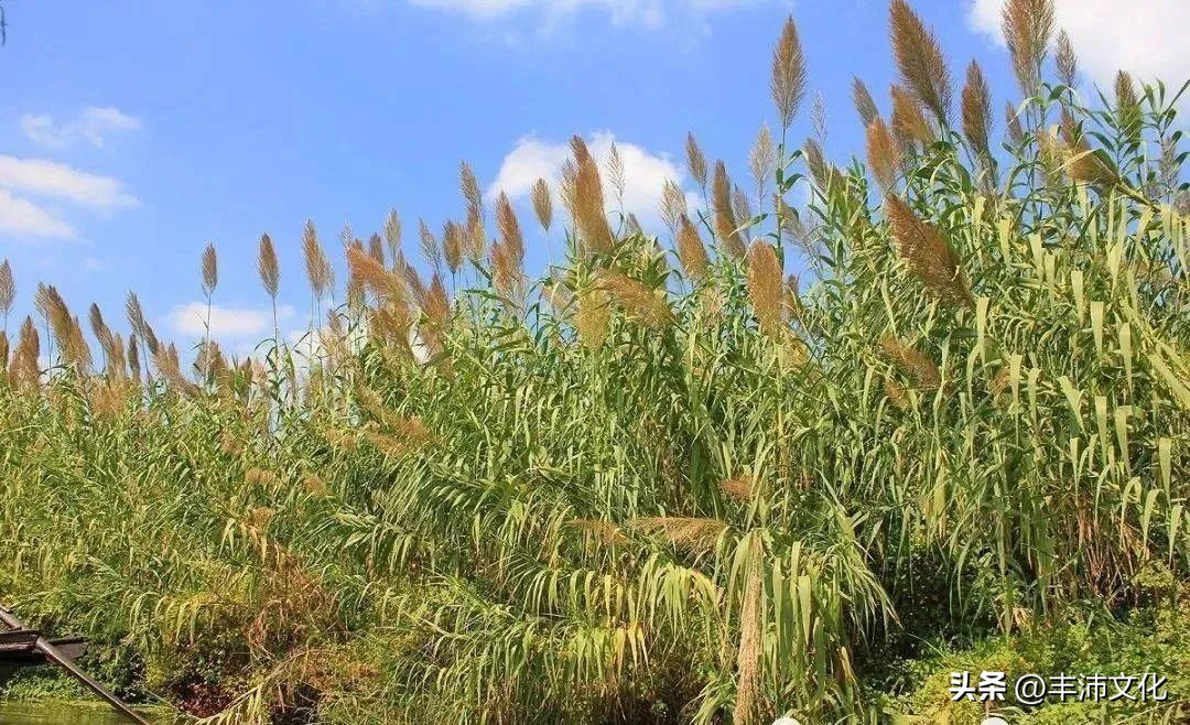 古代丰县在哪里,丰县有哪些历史