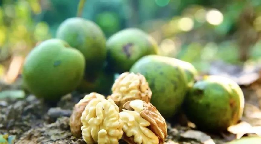 到四川广元有什么特产买,返程带回来的老家特产