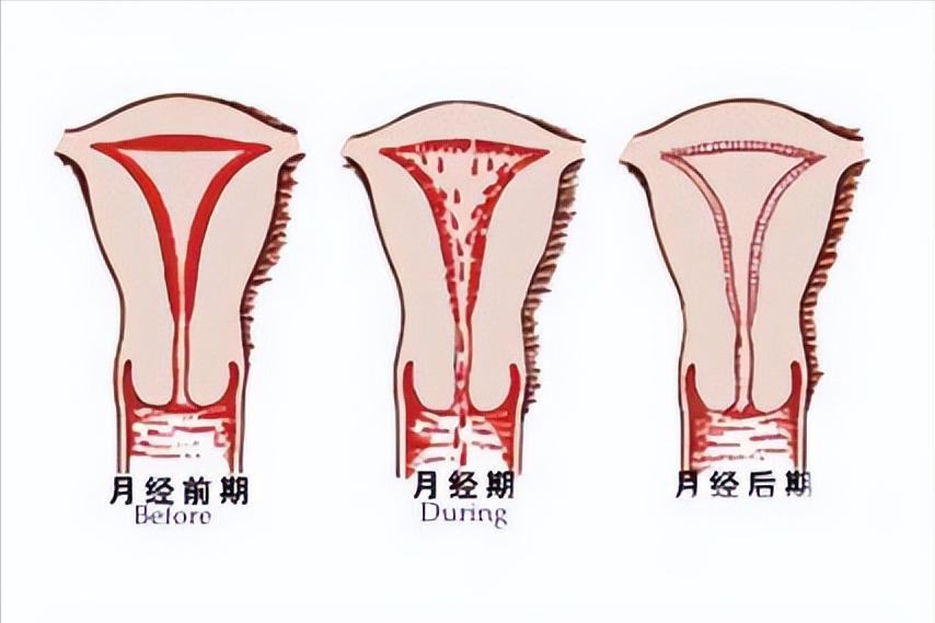 处女座的大揭秘,揭秘最真实的处女座