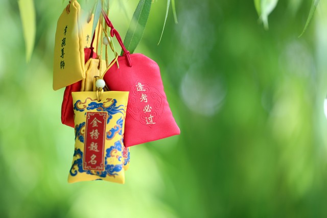 陪读日记46篇,陪读日记100分