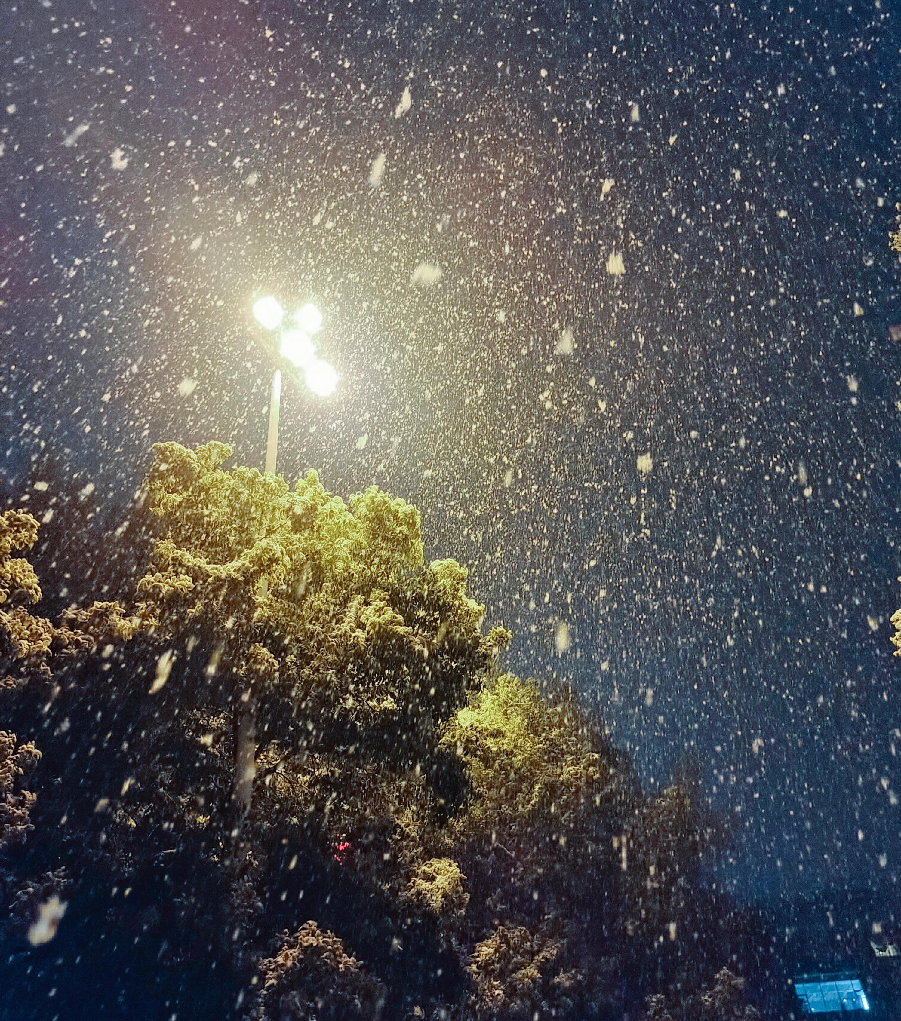 有种关系叫平行线,平行线关系