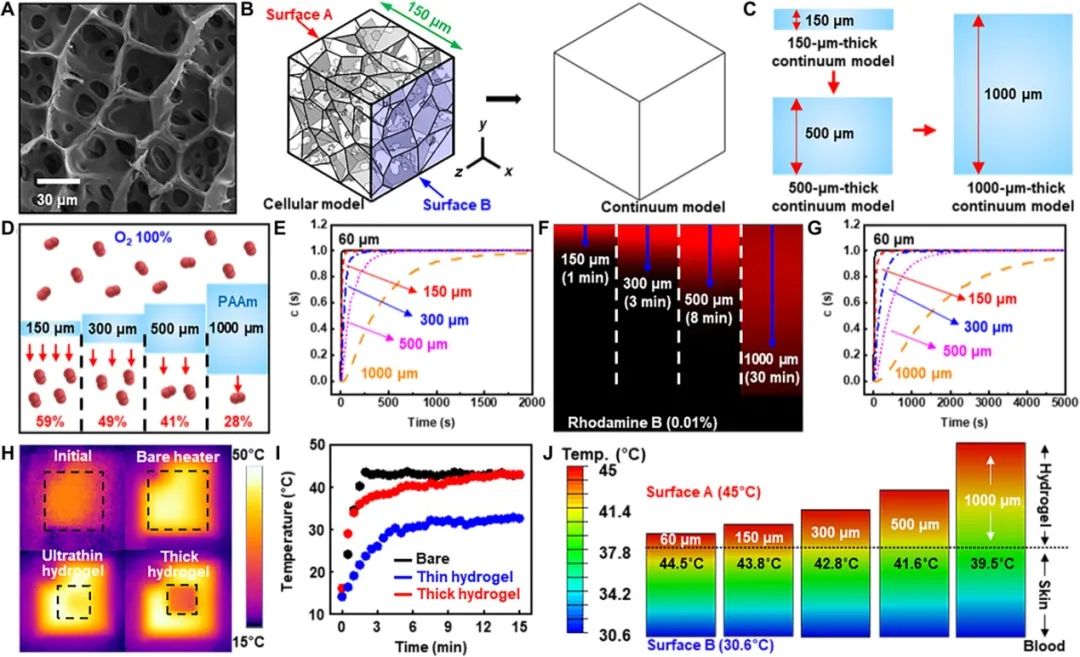 超柔软/可渗透/低阻抗水凝胶，用于可穿戴生物电子的人机界面