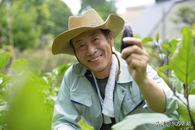 不同意找保姆的老人养老问题,老人去养老院好还是请家庭保姆好
