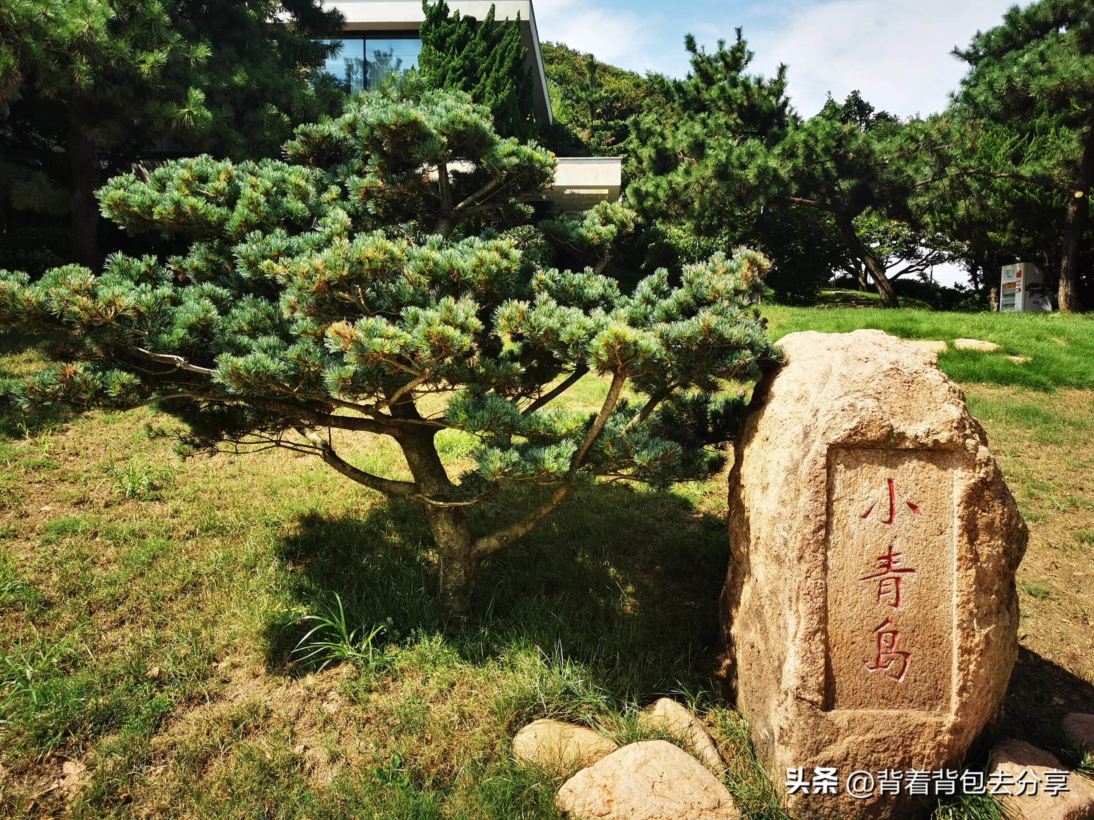 青岛旅游三天自由行攻略最新篇章,青岛最实用的旅游攻略