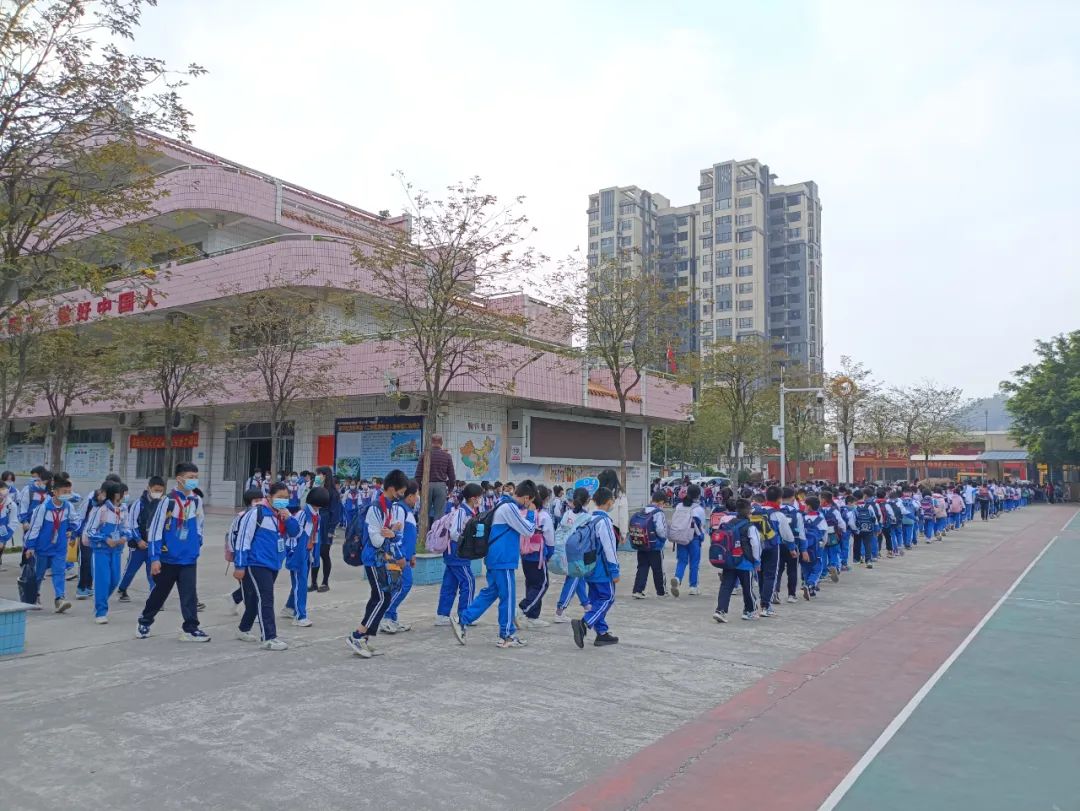 学校基础教育高质量发展三年规划,基础教育高质量发展建议和意见