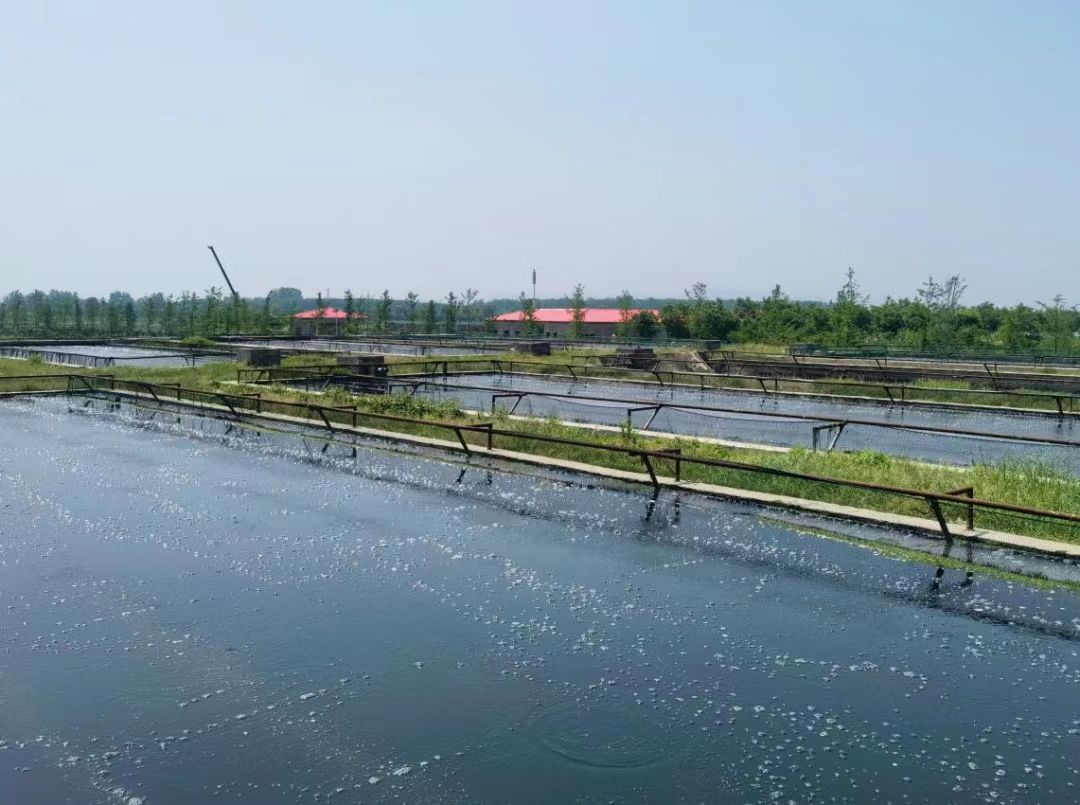 襄阳老河口市乡村振兴有哪些项目,湖北省老河口市乡村振兴工作重点