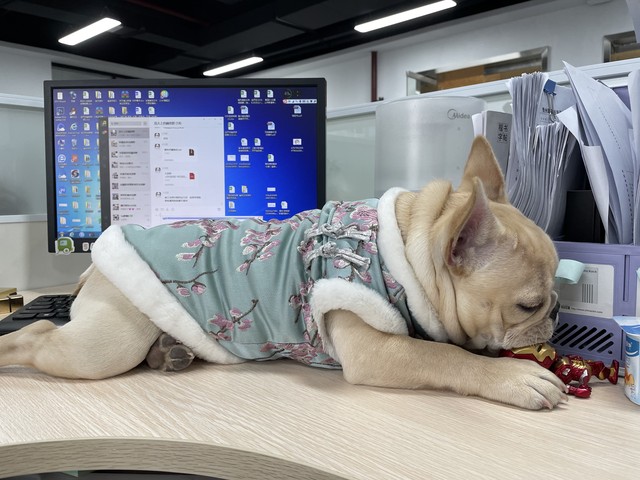 体制内搞副业技巧,体制内微信头像