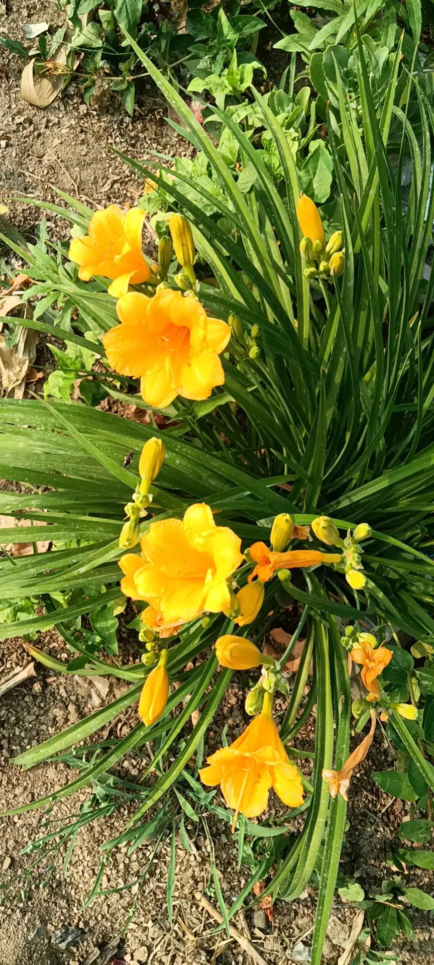 有声书怎么赚钱呢,有声书怎么赚外快