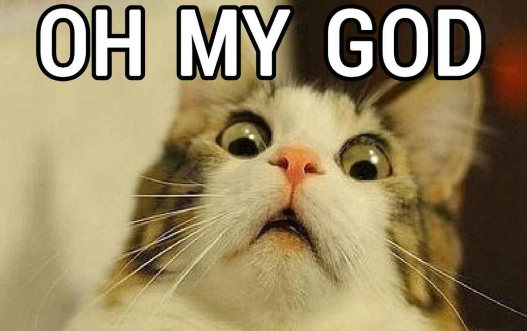 多开app软件哪个好用,实用软件推荐app排行榜