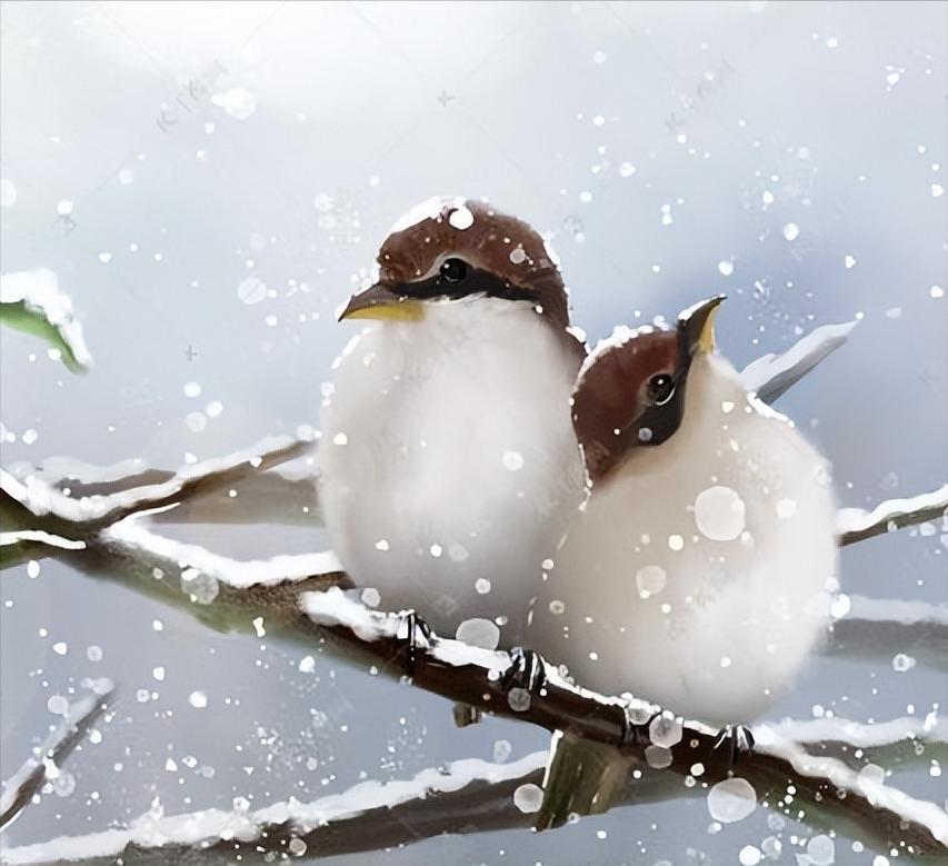 棕驼色大衣高级感穿搭,米驼棕大衣配什么颜色的内搭衬衫