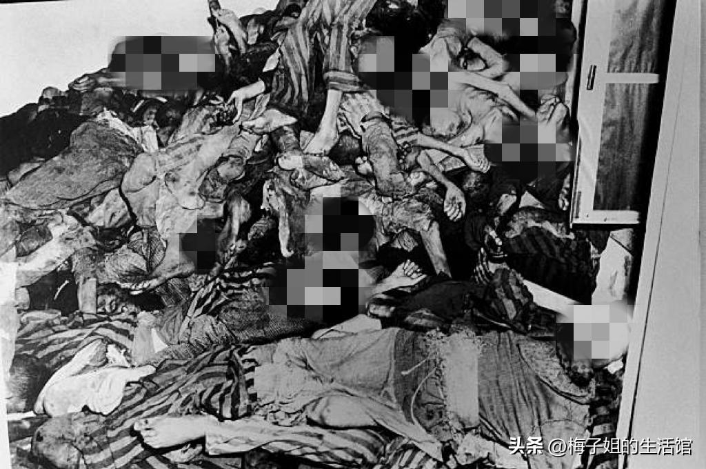 德国纳粹集中营真实影像,纳粹集中营杀了多少人
