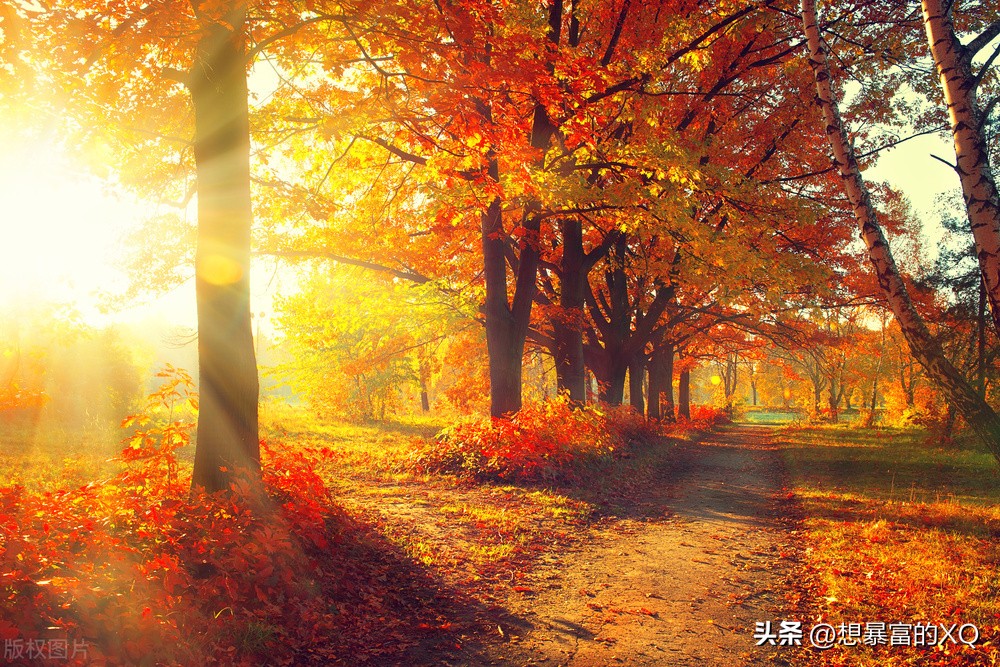 如何提升与读者（粉丝）的互动？小方法、小技巧分享给你哦