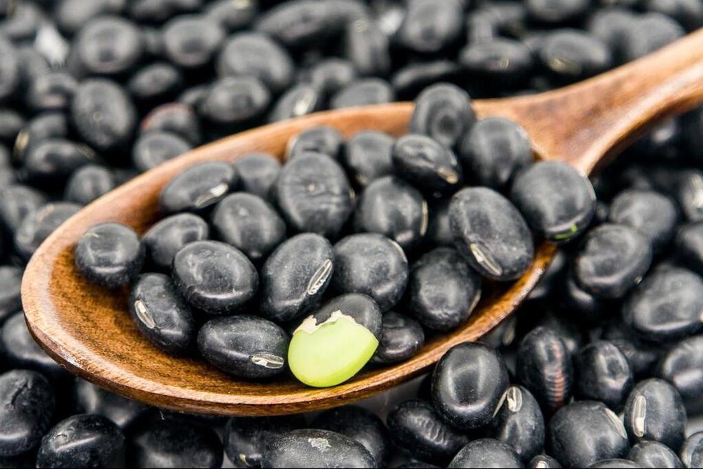 多给孩子吃这菜高蛋白高营养,这个菜常给孩子吃补钙又补脑