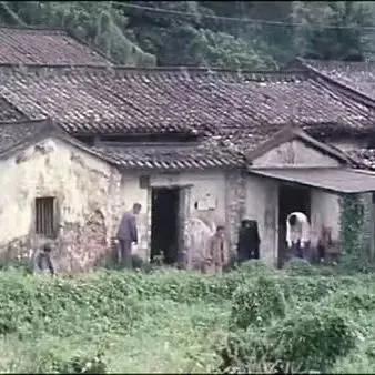 402号房间恐怖电影,中国经典的恐怖电影推荐