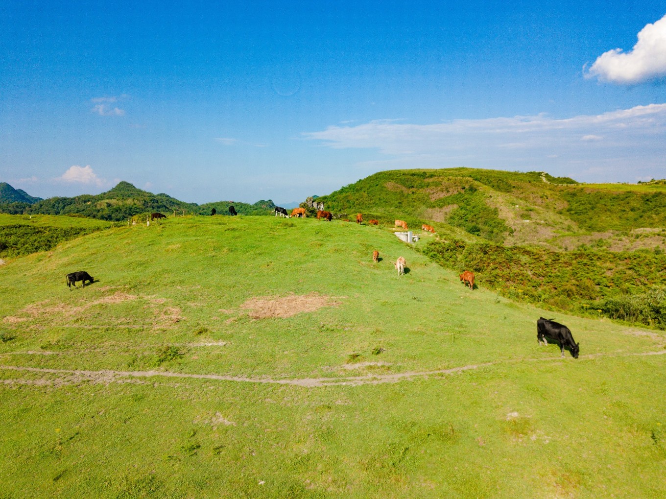 毕节油杉河景区,贵州夏季的避暑景点
