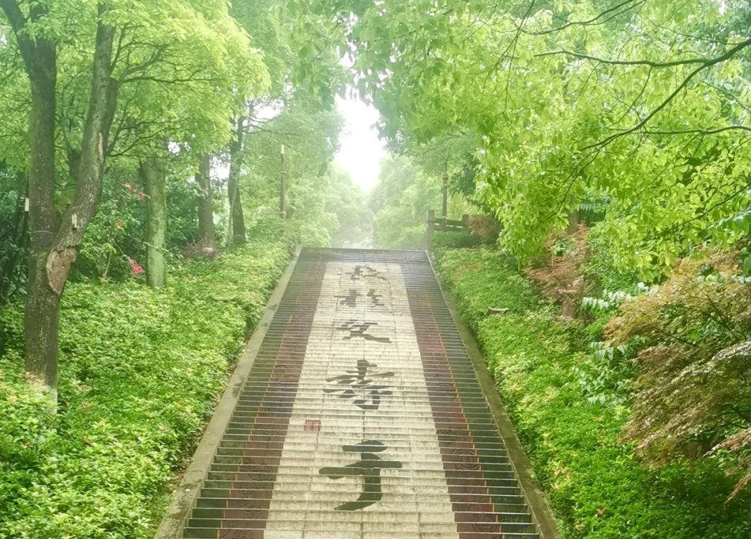 重庆长寿周围赏花旅游景点,重庆长寿旅游景点攻略