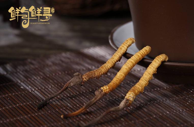 冬虫夏草鲜草为什么比干草便宜,冬虫草鲜草和干草区别