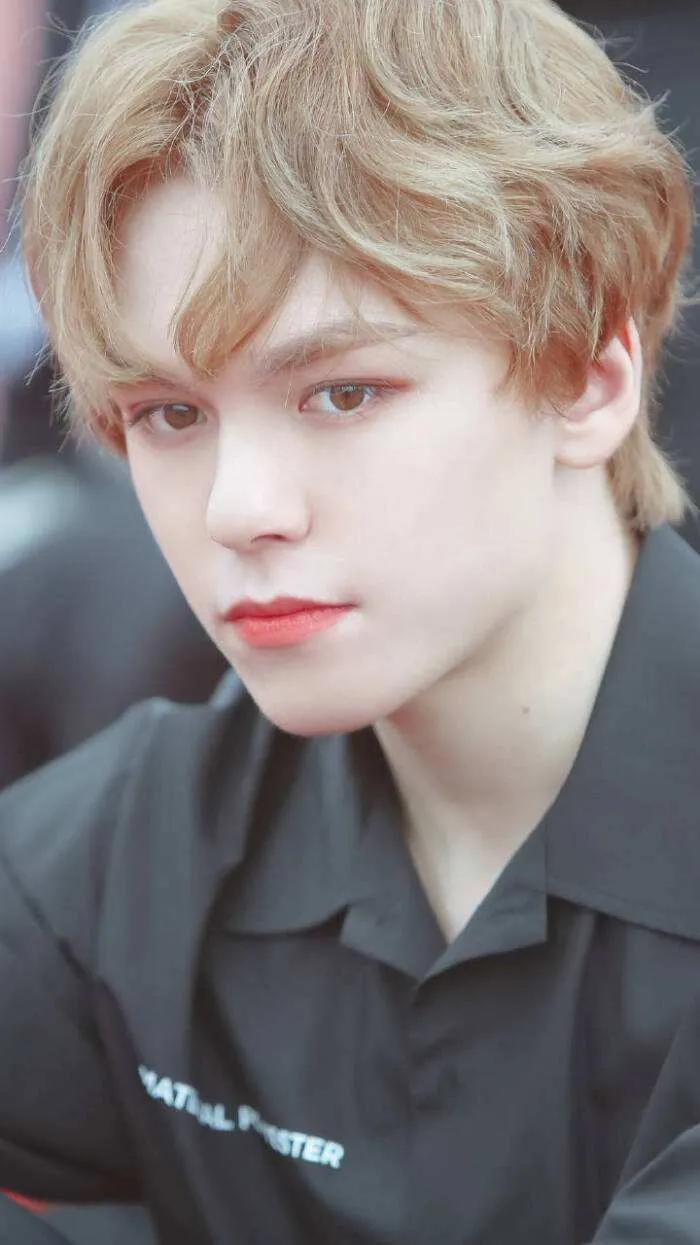 seventeen回归询问帖,seventeen大发语录