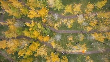 秋天的云南哪里漂亮又美丽,有一种美叫云南的秋天美景