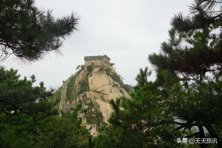 河南景点森林氧吧,河南五地入选中国天然氧吧