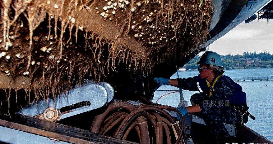缇庡浗澶勭悊钘ゅ６,缇庡浗娴峰啗钘ゅ６