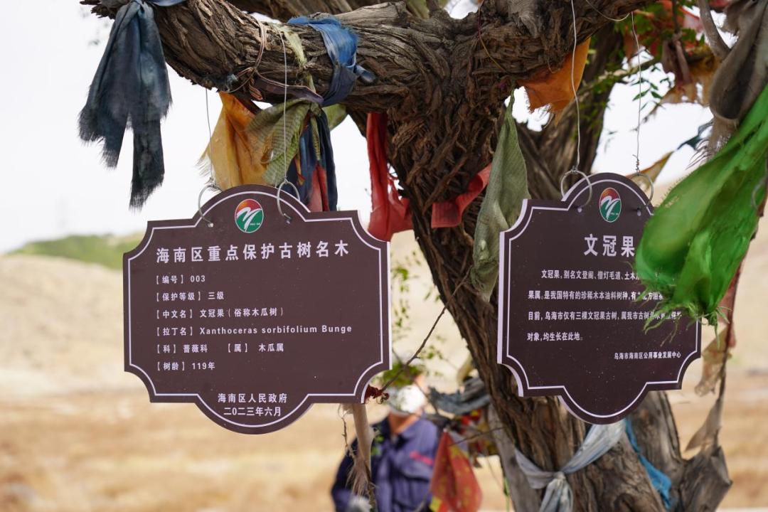 央媒网友热议,央媒密集关注点赞福建