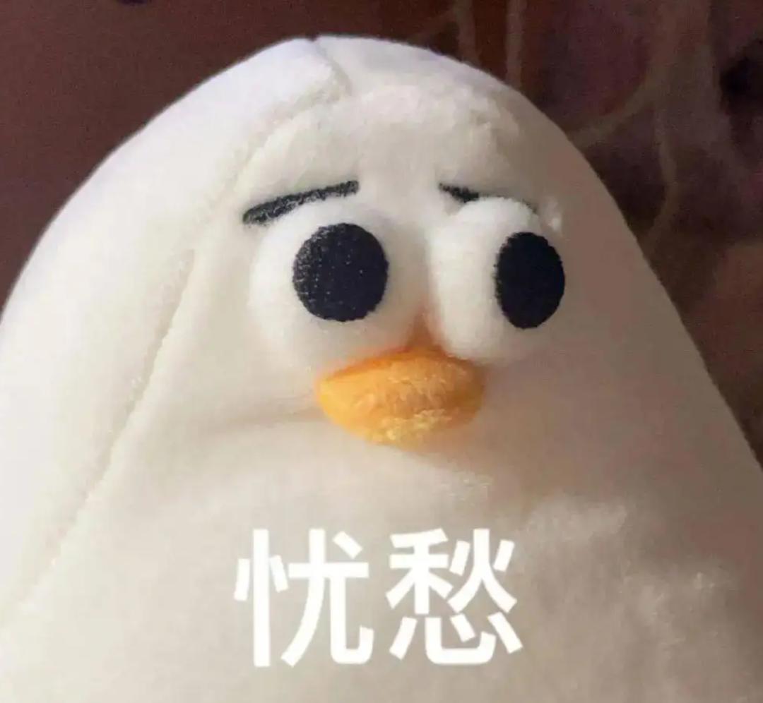 喂过一次大连海鸥，人类就要为自己的弱小羞愧