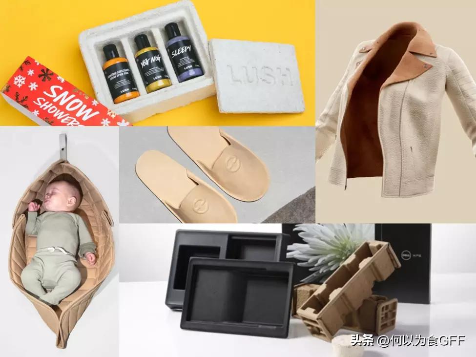 蘑菇发展史,蘑菇历史剪辑