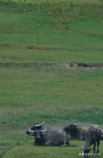 去有风的地方演的什么,去有风的地方像个没人的地方