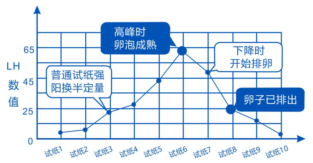 促黄体生成素lh检测试纸怎么用,促黄体生成素lh检测试纸胶体金法
