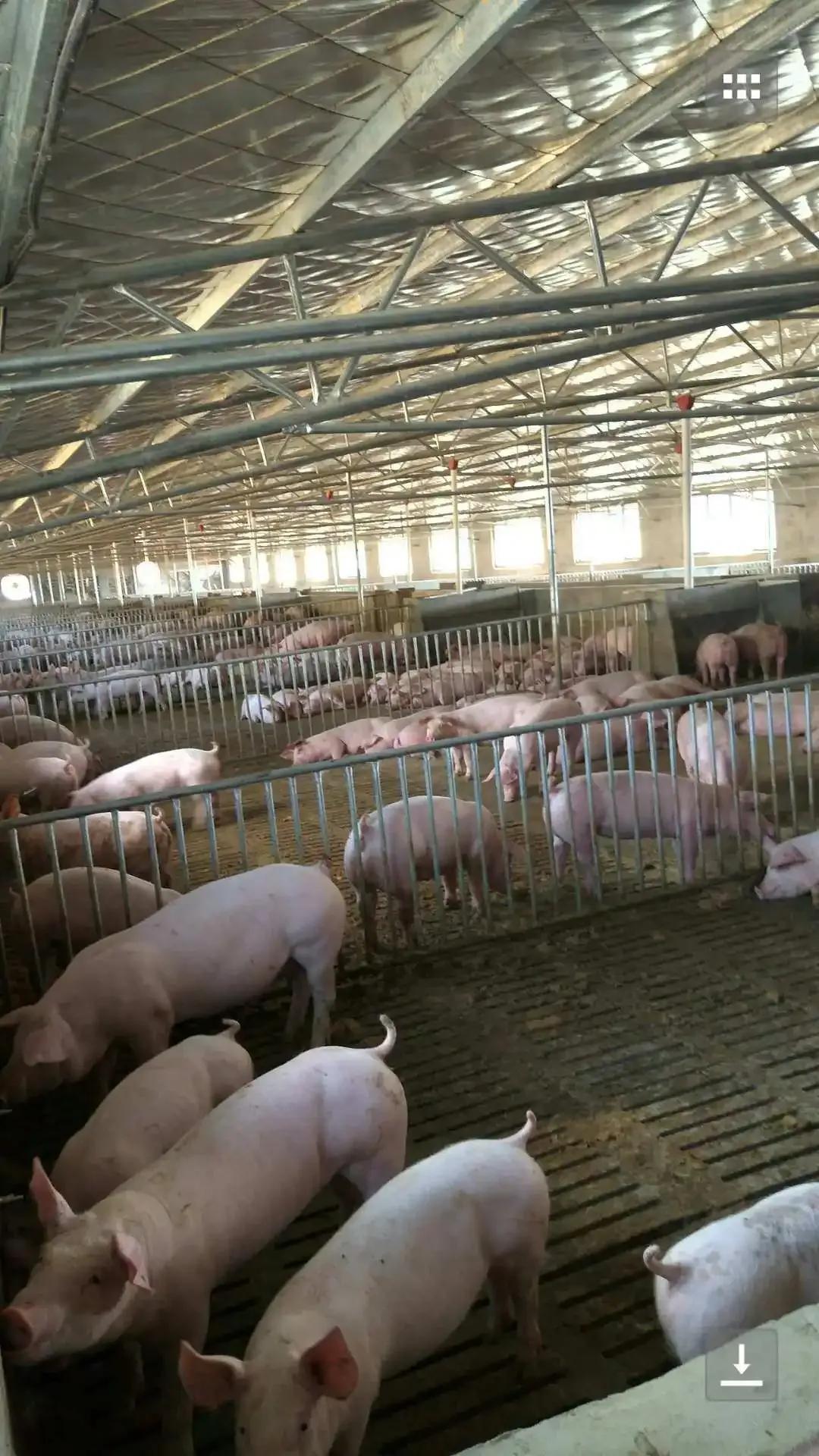 90后的我创业失败了说说,90后的我创业失败负债