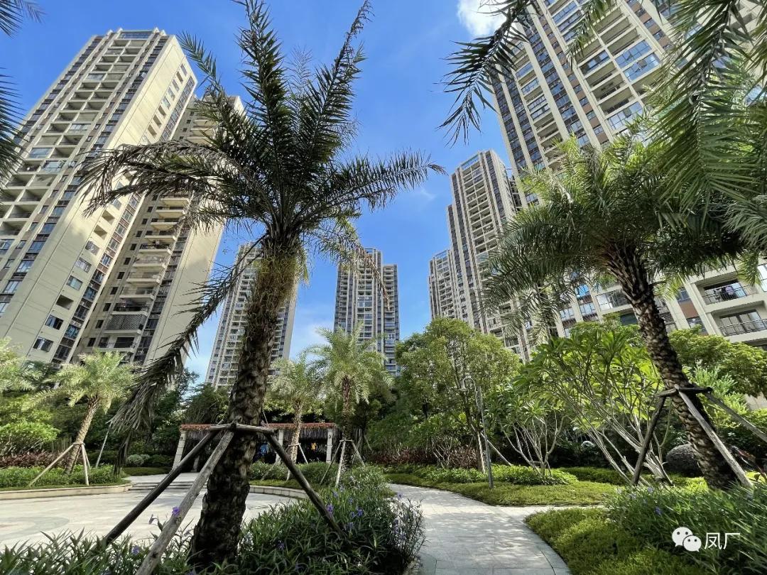 容桂东部：凤凰湾入秋了（多图）