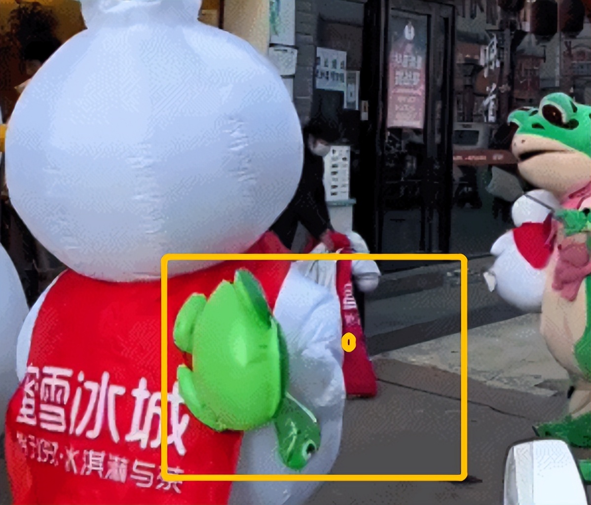 16岁卖青蛙,创业摆摊卖青蛙