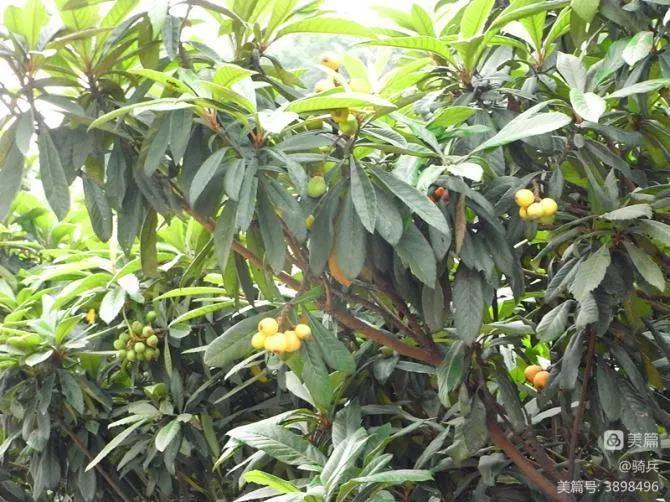 桂湘粤三省骑行交流,广西柳州三江自驾游视频