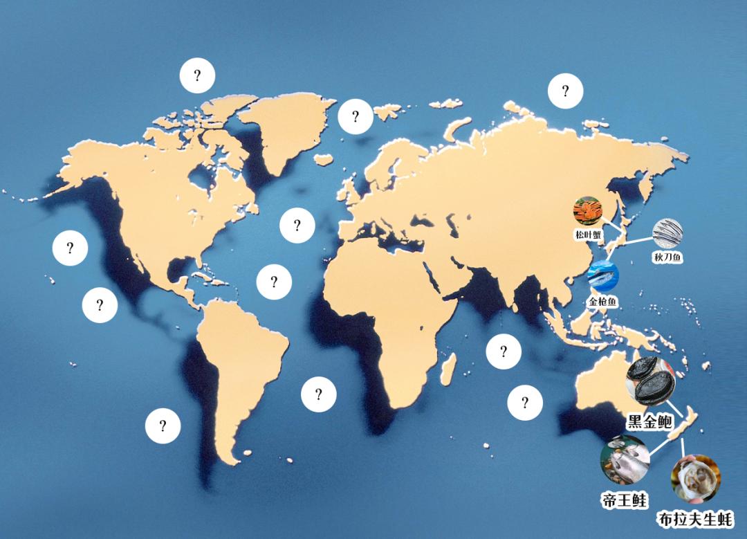 新西兰海鲜一览表,世界海鲜图片